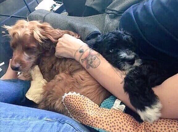 Talisha_LauraG's tweet photo. Louis esta en la casa de Danielle :3 y tal vez ya se durmieron juntos 😱😏😍 https://t.co/x0SMfqob6V