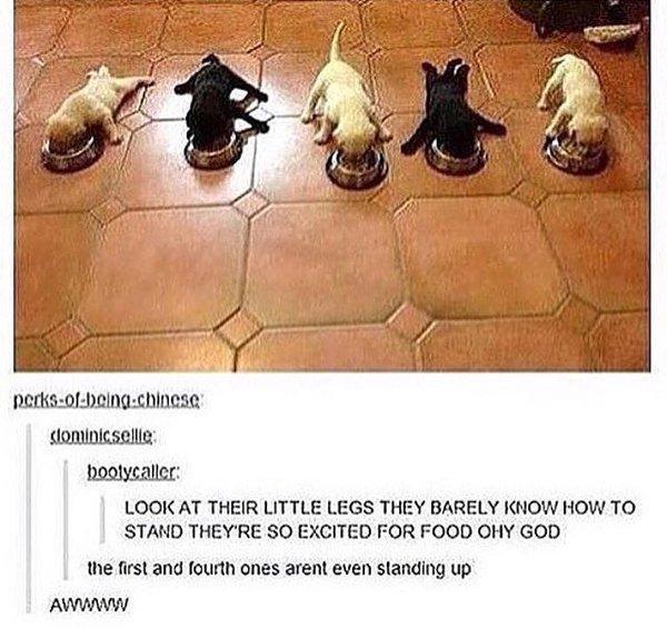 THIS MADE MY DAY