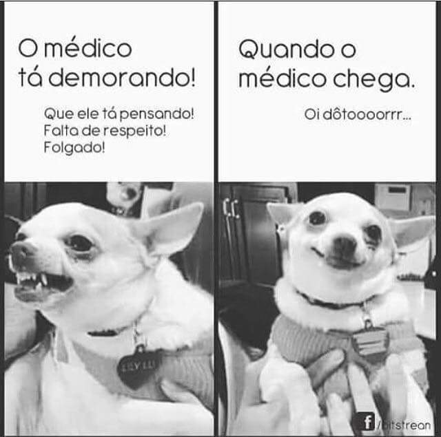 JonasArthur27's tweet photo. Desse jeito kkk #BoaTarde https://t.co/AL8SQhEkAU