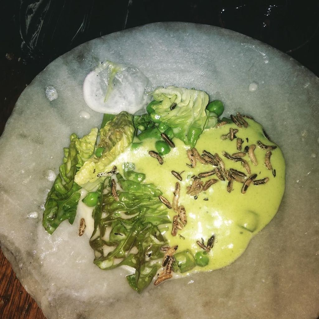 TheManorClapham's tweet photo. First course... Asparagus, lettuce & kombu! Delish! #clapham #homegrown #asparagus #irishc… https://t.co/5xOMHkIUul https://t.co/EyPdbLIl0P