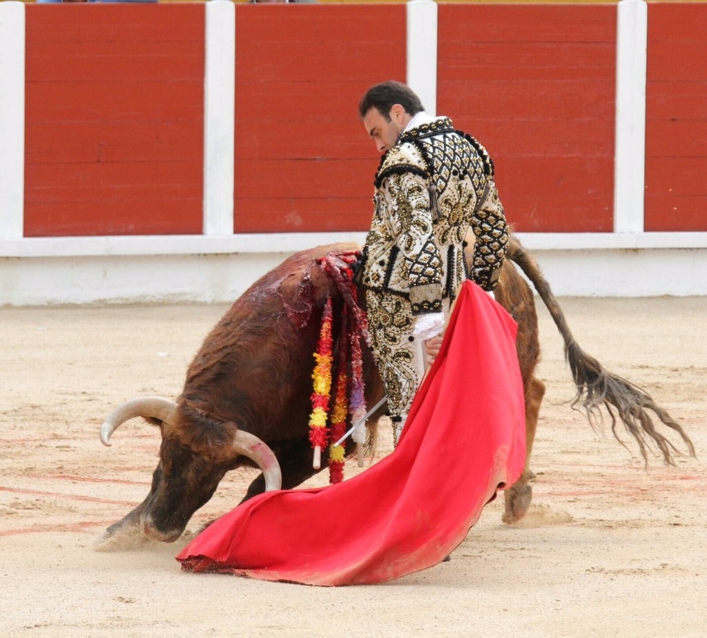 EPonceOficial's tweet photo. Sentir, soñar el toreo y poder realizarlo!!! Hoy en Guadalajara.  Abandonar el cuerpo para torear con el alma!!! https://t.co/sCJNr5HeBP
