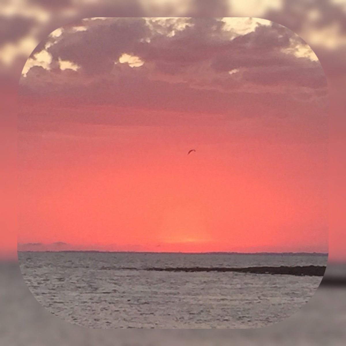 JamesCProjects's tweet image. A stunning sunset
projectplanonline.com