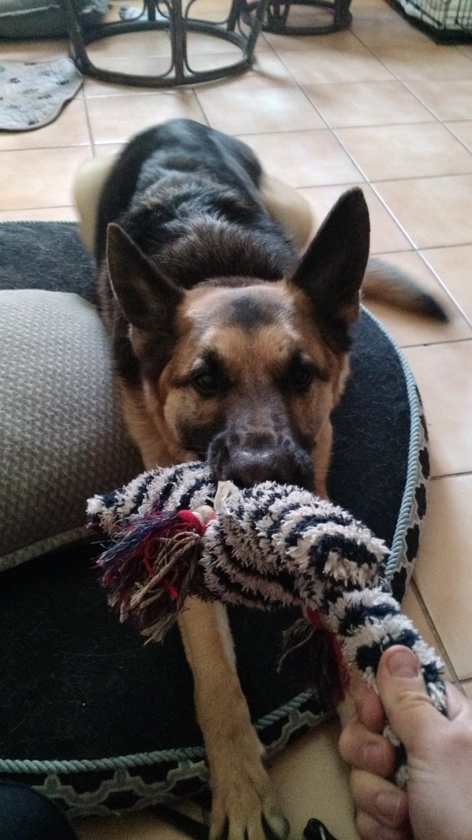 Don't you hate it when they won't give it to you! It's not like they carry it in Their mouth all day!