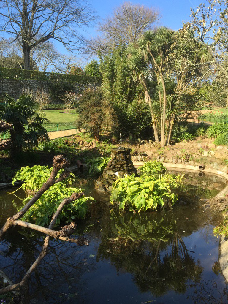 As it isn't a nice day out there here is one from yesterday. #LoveGuernsey