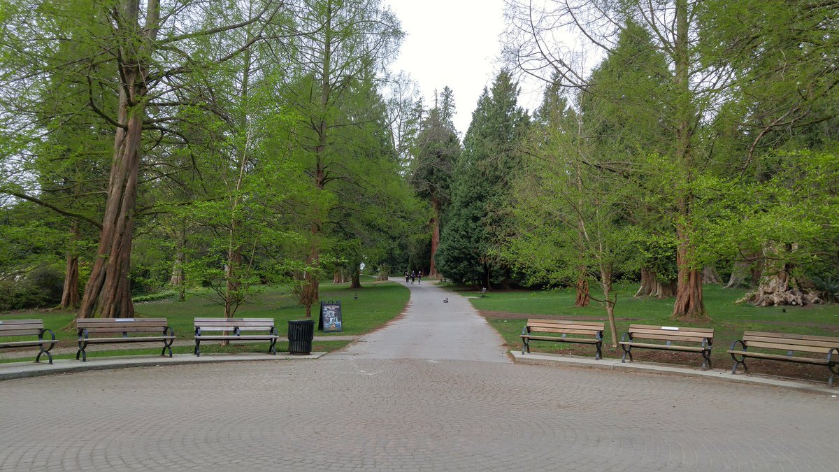 IvekV's tweet photo. Stanley park https://t.co/sqZ9YSt0ax
