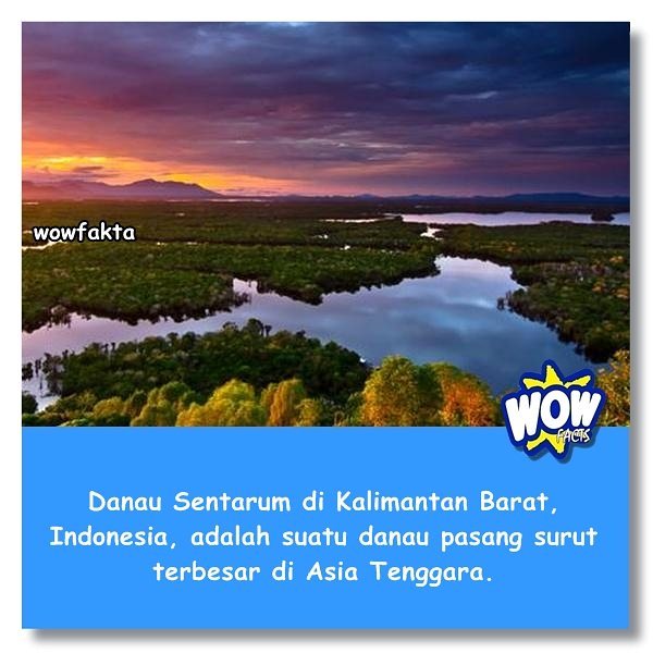 kontenwow's tweet photo. https://t.co/JFTSCzoP2K [#wowfakta] Faktagram hari ini #fakta #faktanya #mostpopular https://t.co/ZQ4o4s3AxJ