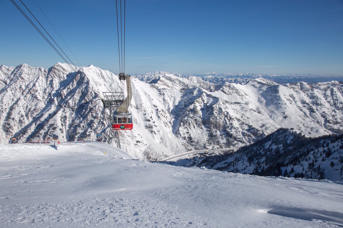 Snowbird tweet picture