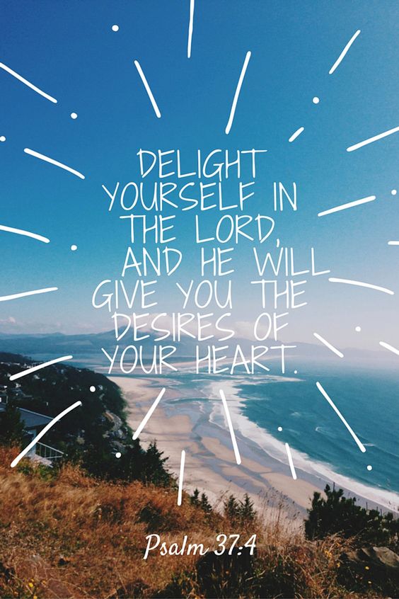 Lbedokis's tweet photo. Happy #Sunday, friends! Have a wonderful day. #LazySunday #Psalms #DayofRest https://t.co/Gv9OBFVdVl
