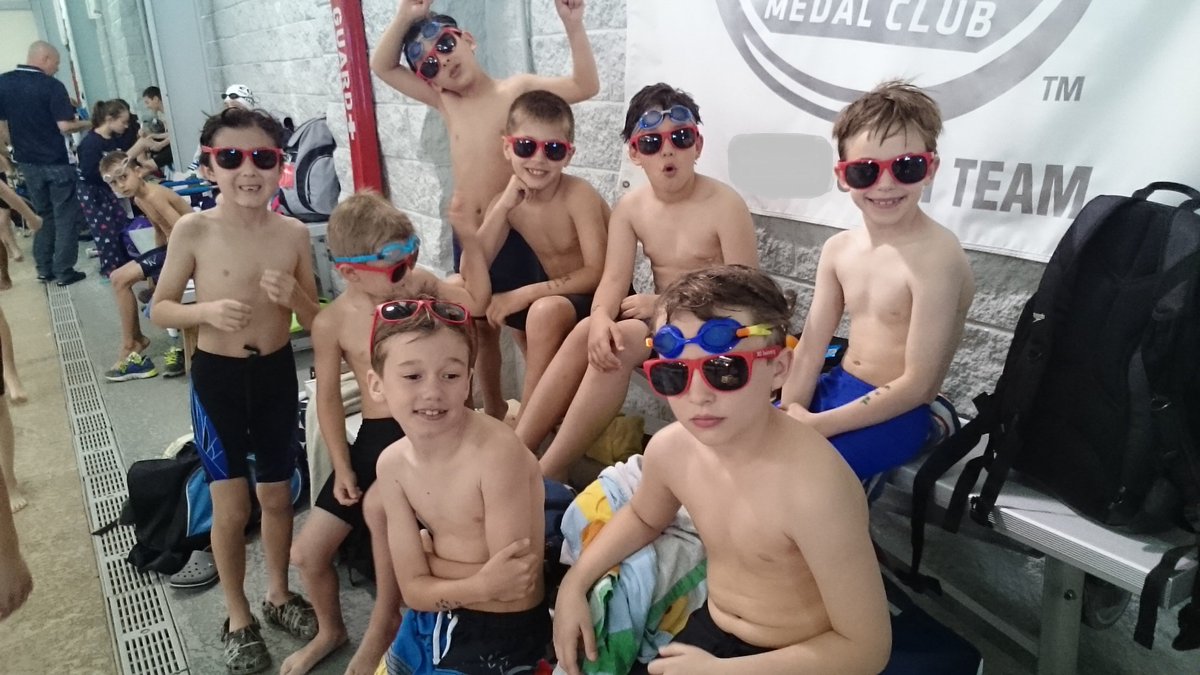 swimcac's tweet photo. Great Swimming at the 2016 FSC 8 and Under Championship Meet! https://t.co/G6le7tUF8z