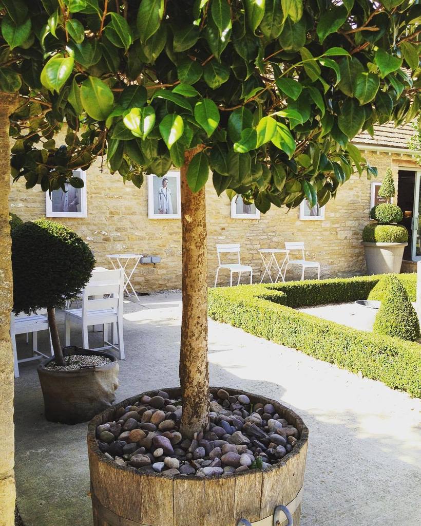 HenriettaGoose's tweet photo. Totally and utterly in love with @daylesfordfarm 🛍💝 #daylesford #daylesfordorganic #dayles… https://t.co/ML00isVWxV https://t.co/1kWIw1MAxl