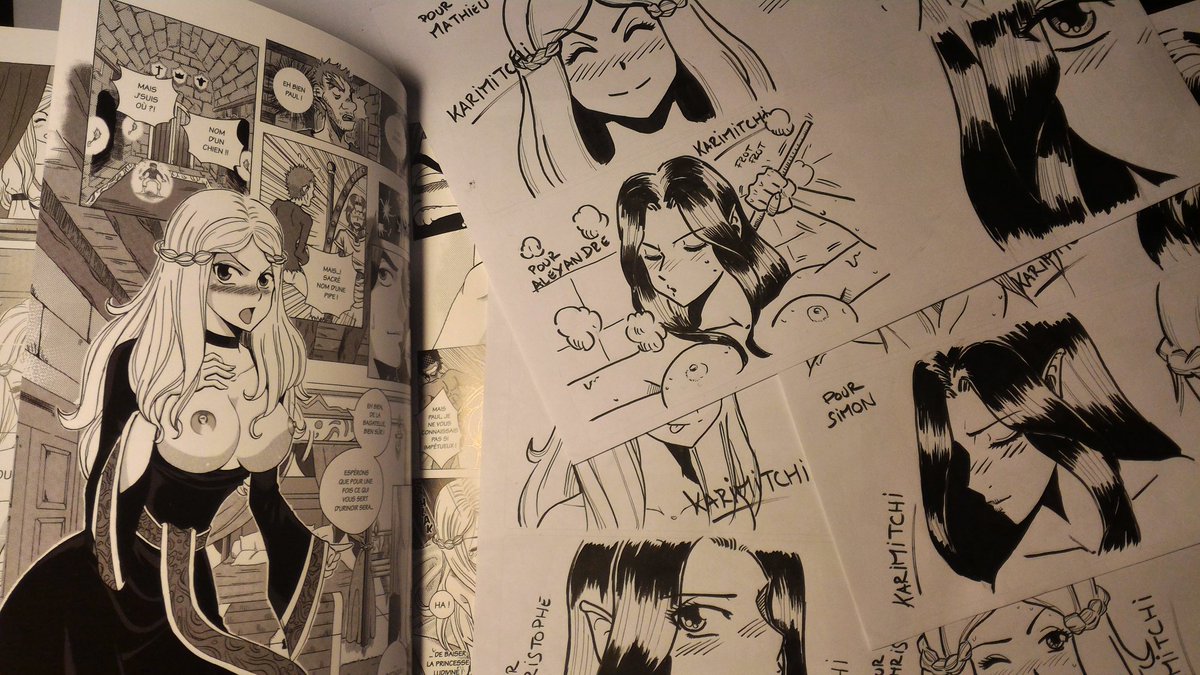 Karimitchi's tweet image. Mes premieres dedicaces pour Vanadis #vanadis #gdbm #casteleven