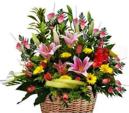 Joyce Watterman tweet media