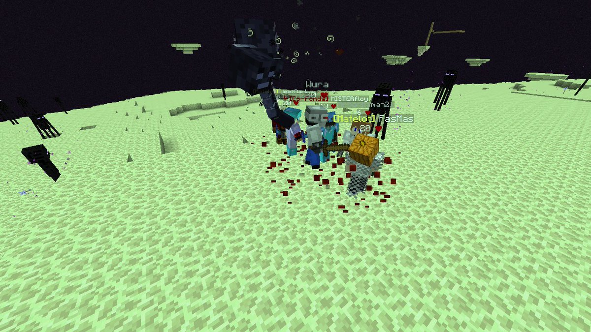 PtitCoon tweet media