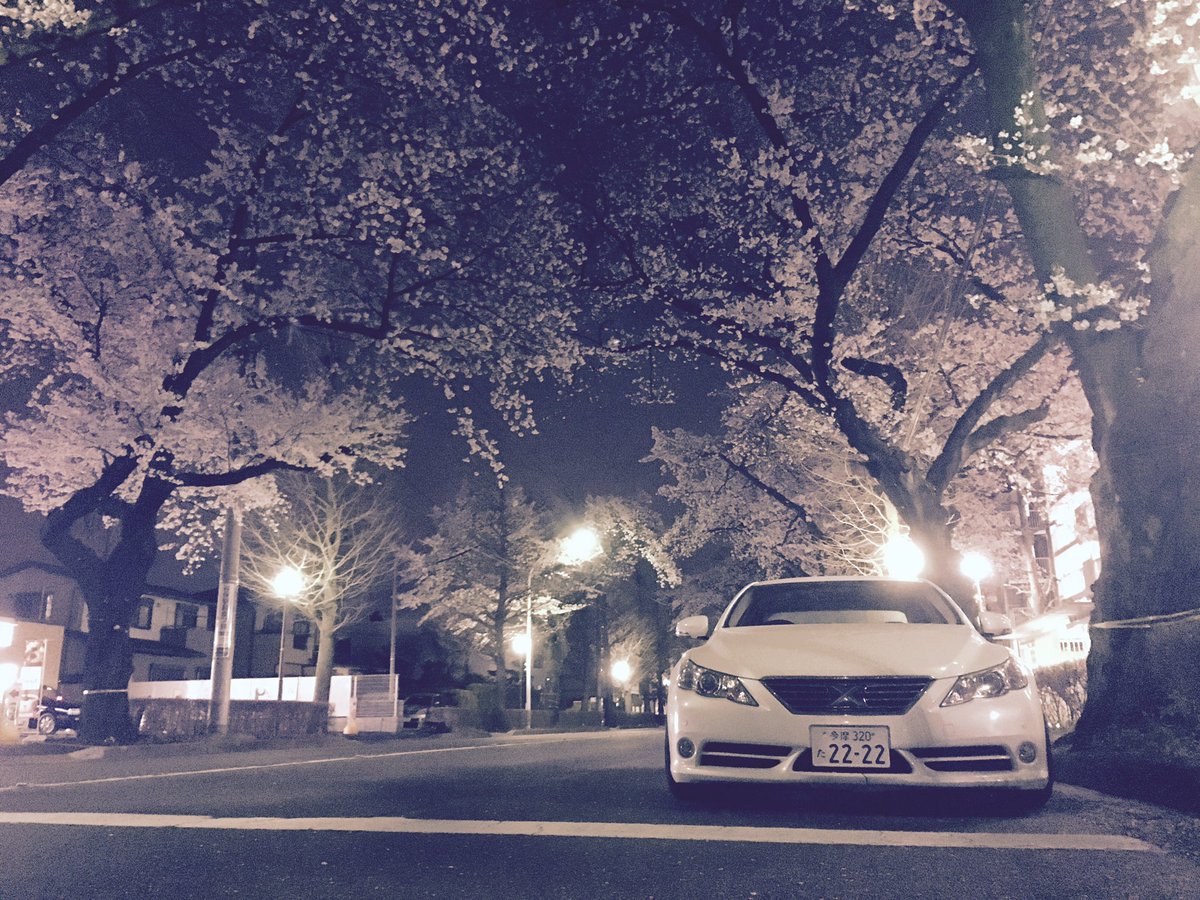 grx133fn's tweet photo. 夜な夜な撮ってきた笑 https://t.co/AIhX4SLsQK