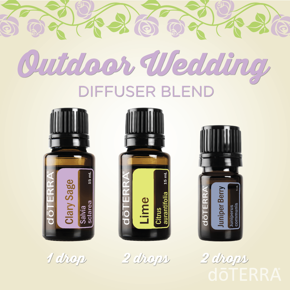 doterra's tweet photo. Dusk deepens, lights swathe the trees, laughter floats through the air, &amp; the breeze carries an herbal sweet scent.. https://t.co/8EVZ0ZTA57