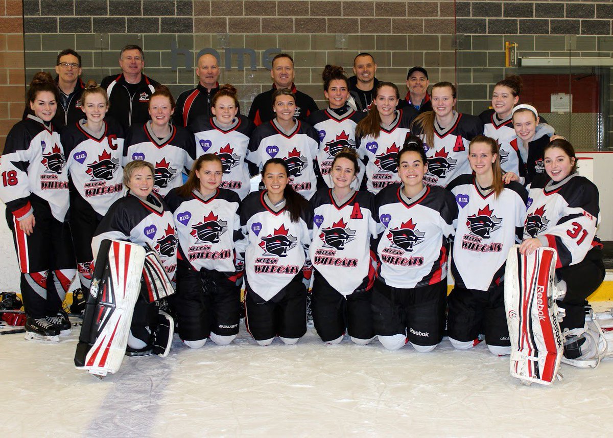 SteveWarneMedia's tweet photo. Undefeated regular season and playoffs.  And yesterday, ODWHA Champs with a 2-1 win.  Final stop, provincials! https://t.co/S1jCcbGp0u