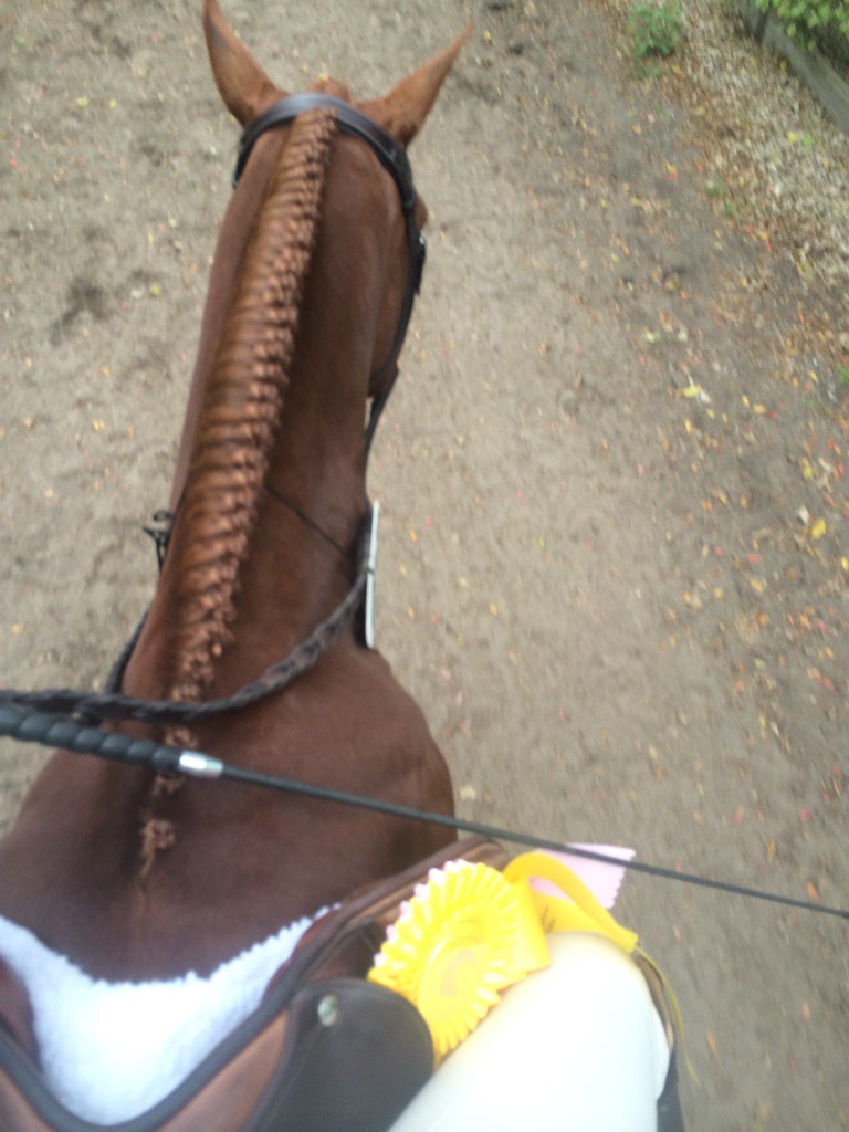 A yellow ribbon &amp; a pink ribbon to top of Carolina Chrome's final week of showing @ESP_WEF ! #week12