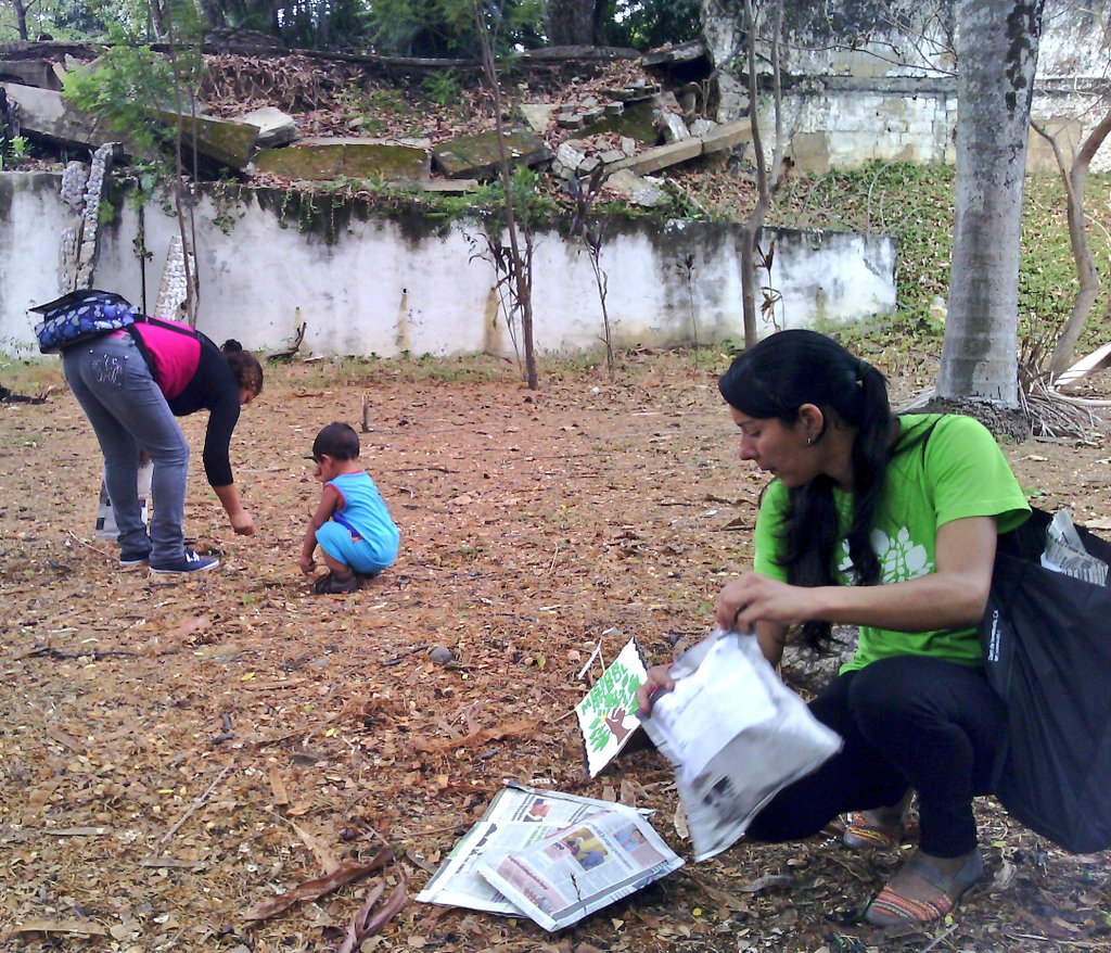 MisionArbolPortug tweet media