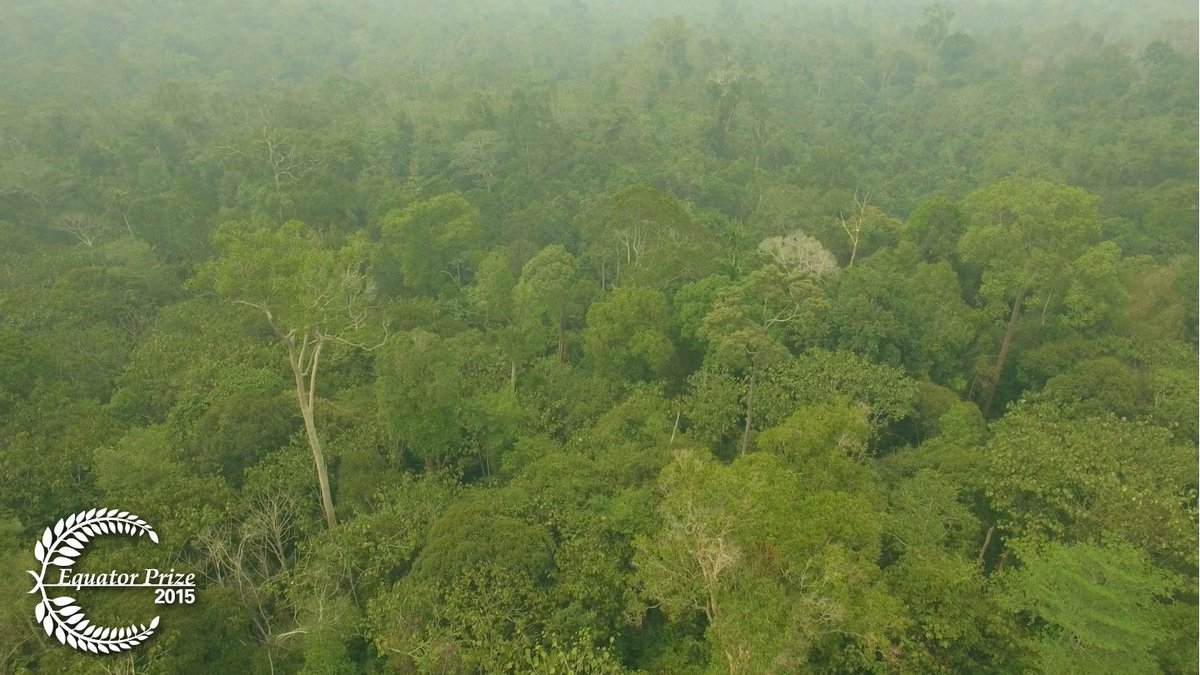 UNDP's tweet photo. In #Borneo, indigenous ppl resist palm oil &amp; logging: https://t.co/1FD56yuhDg! 19 days 2 #ParisAgreement https://t.co/EkhELDlF0B
