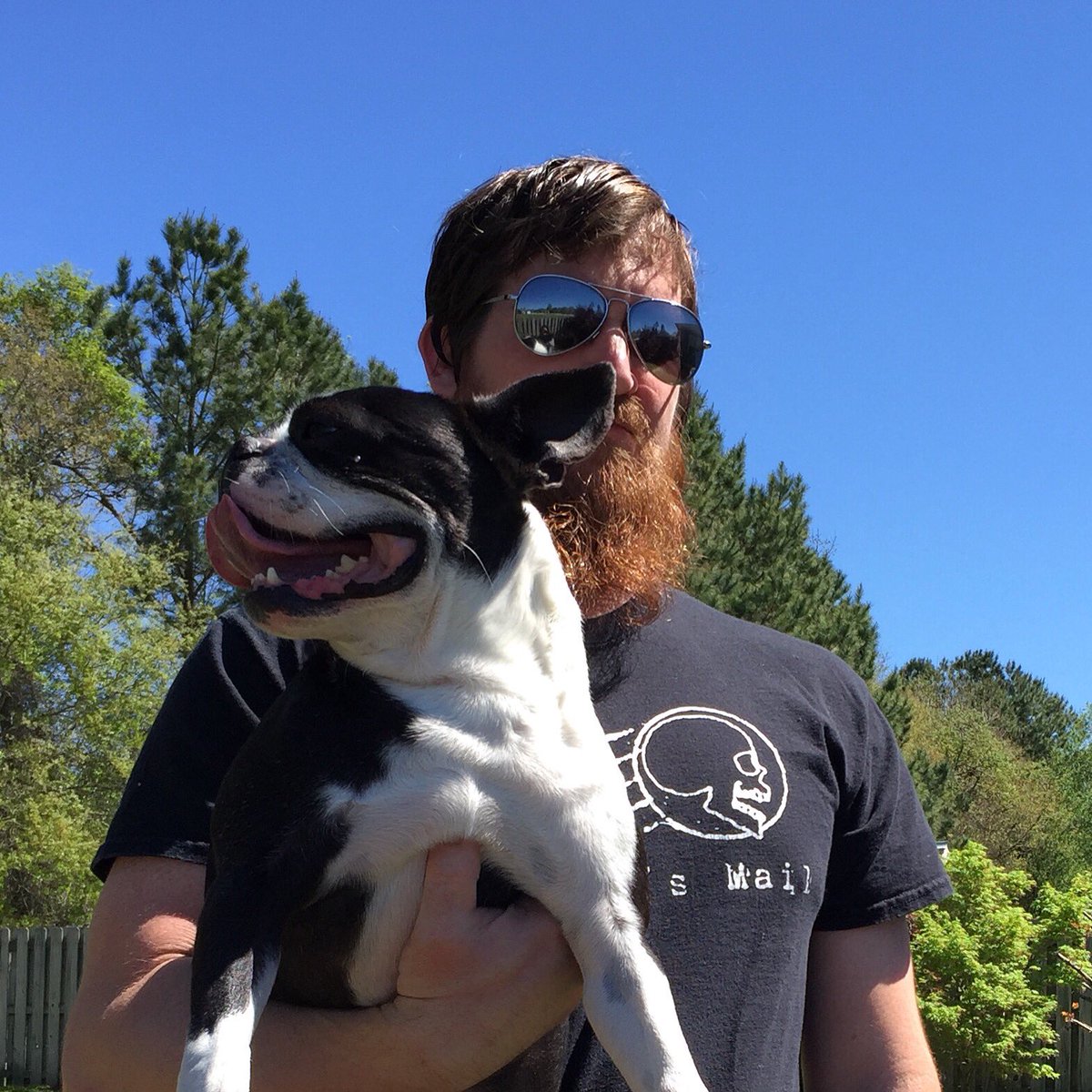 Dead Man's Mail tweet media