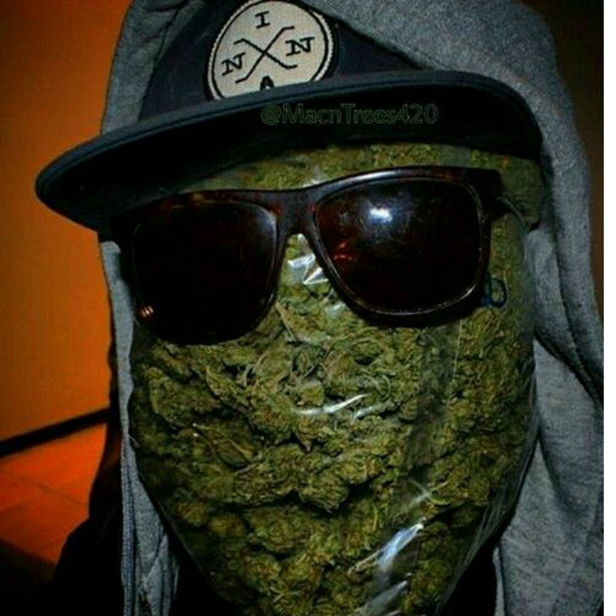 ZenpypeGadget's tweet photo. #pothead 😆 https://t.co/UOJQFy2poD