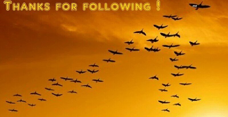 orodreth465's tweet photo. @DinaxAmore https://t.co/G4nWTX9z3i