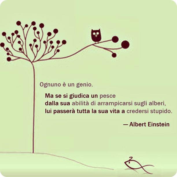 karateluli's tweet photo. Ognuno é un genio. https://t.co/FI4dS2MM79