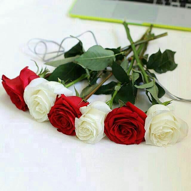 <a href="/Shosha_vip_girl/">ْ</a> 🎂

وَيـُحگىٰ ↬
 
إني🍃آحـبَبتُ🌙قَــمَـراً

ﻳسڪُن🍁الارضَ 🍃

#كـل_عام_وانت_بخيـر 

يارب🌸تحقيق🌼الاماني