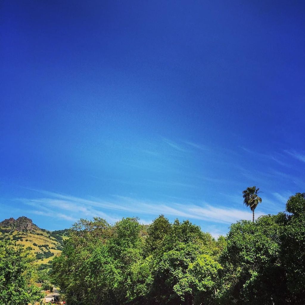 until next time Napa ✌🏼🍷 ift.tt/1RYqJ7H