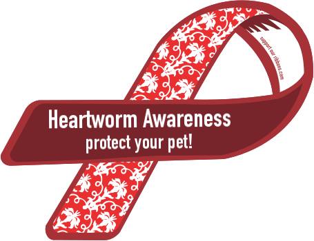 TangoAnimalHosp's tweet photo. Remember! it's #heartworm prevention month! Get your pet on prevention and tested today! https://t.co/yNXeJyfSKt