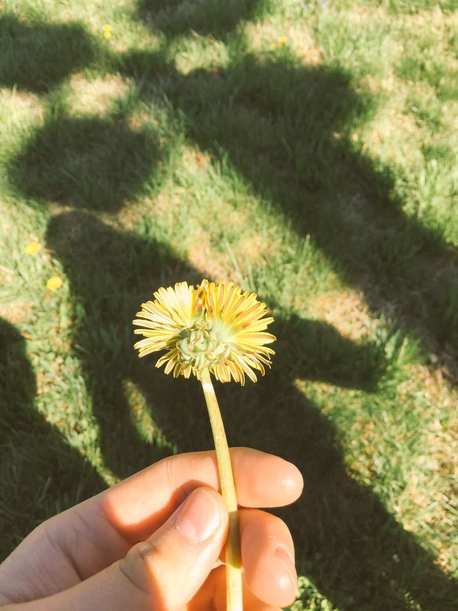 0ptimizm's tweet image. It's @illusionizing