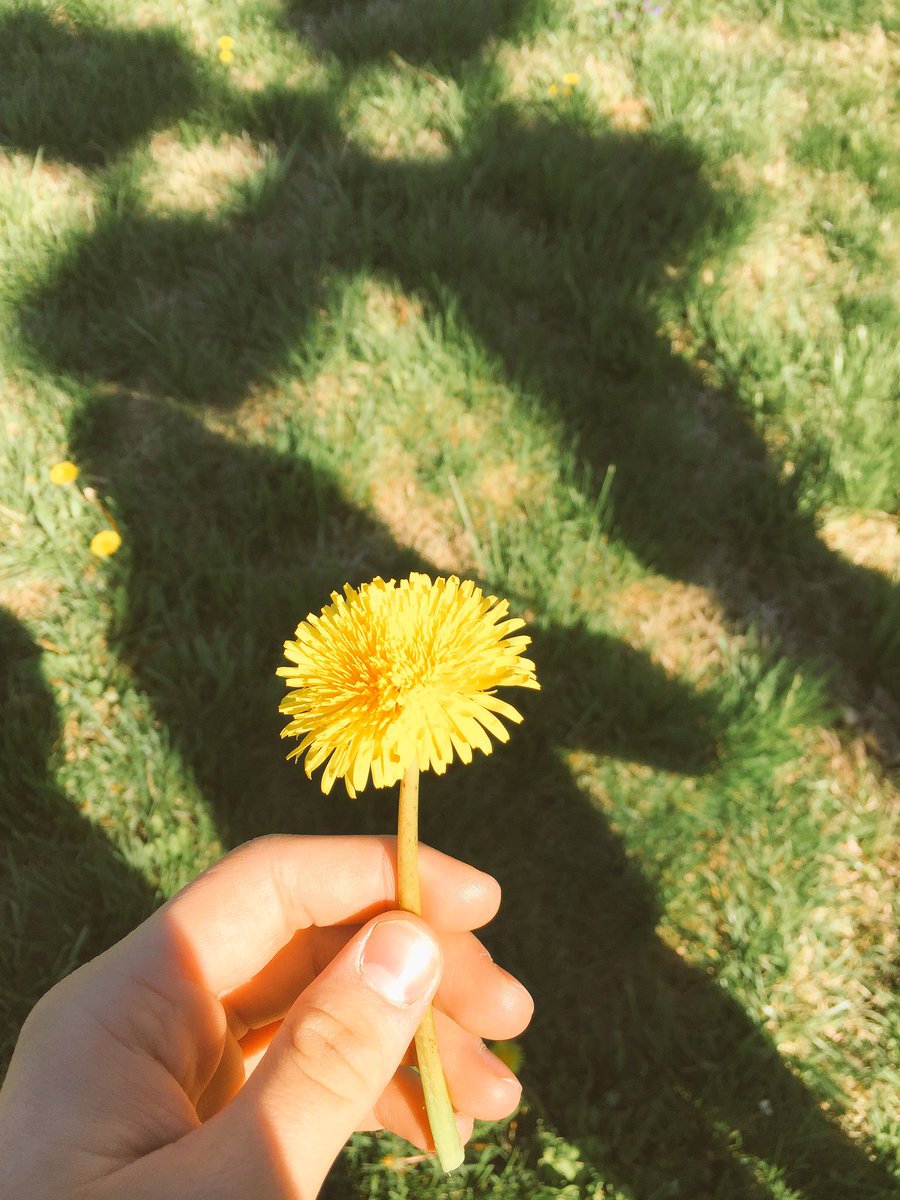 0ptimizm's tweet image. It's @illusionizing