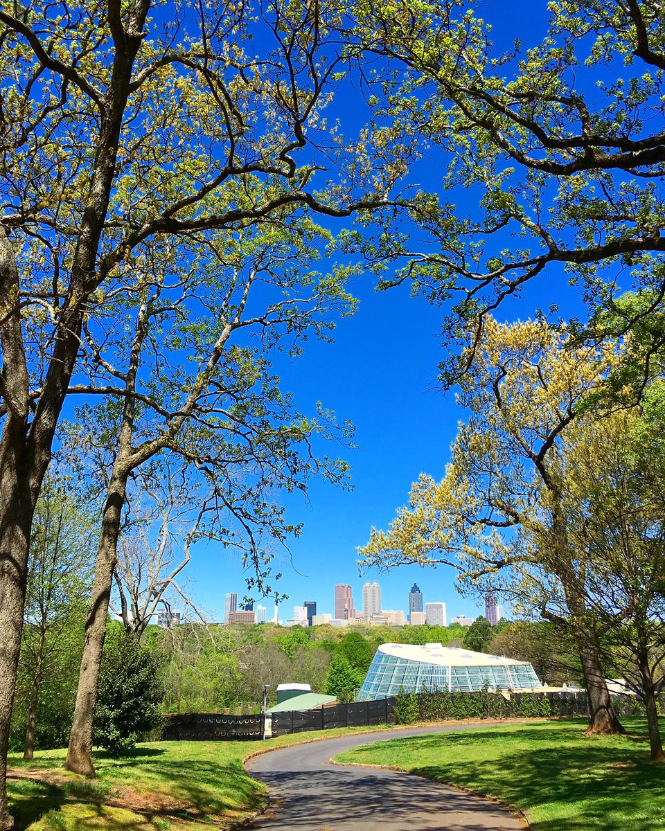 Stephen Beehler tweet media