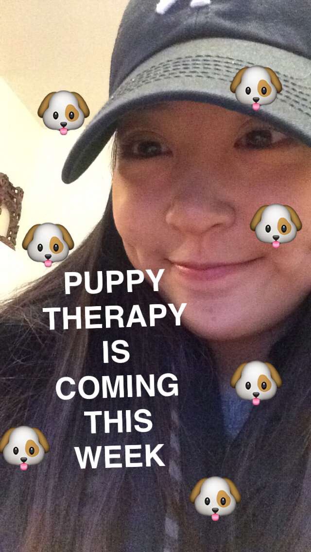 trudeau_cc's tweet photo. 🚨🚨🚨 PUPPY THERAPY??????? 💕🐶💕🐶💕🐶💕🐶💕🐶 Monday-Friday, NO Wednesday! Come join team 7 and meet Coby 🐶🐶💕🐶💕🐶💕 🚨🚨🚨 https://t.co/W6YMbZ6zNc
