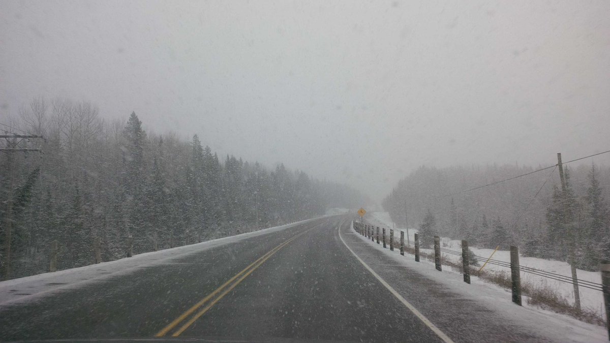 GordEllis's tweet photo. Just another April blizzard in NWO. @NWOproblems #tbay #nopalms @CBCTBay #januaryinApril https://t.co/ogvwg5948l