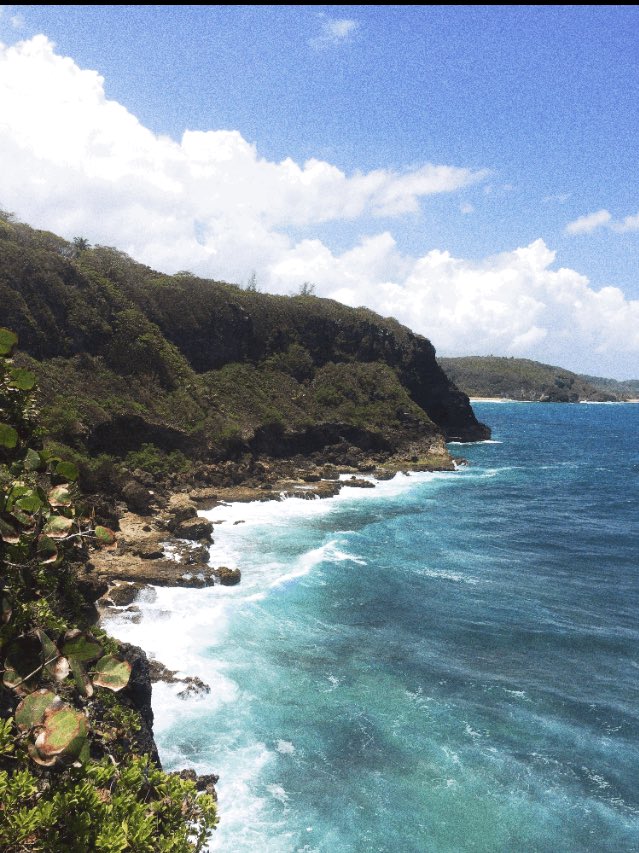 Robert Ferrer tweet media