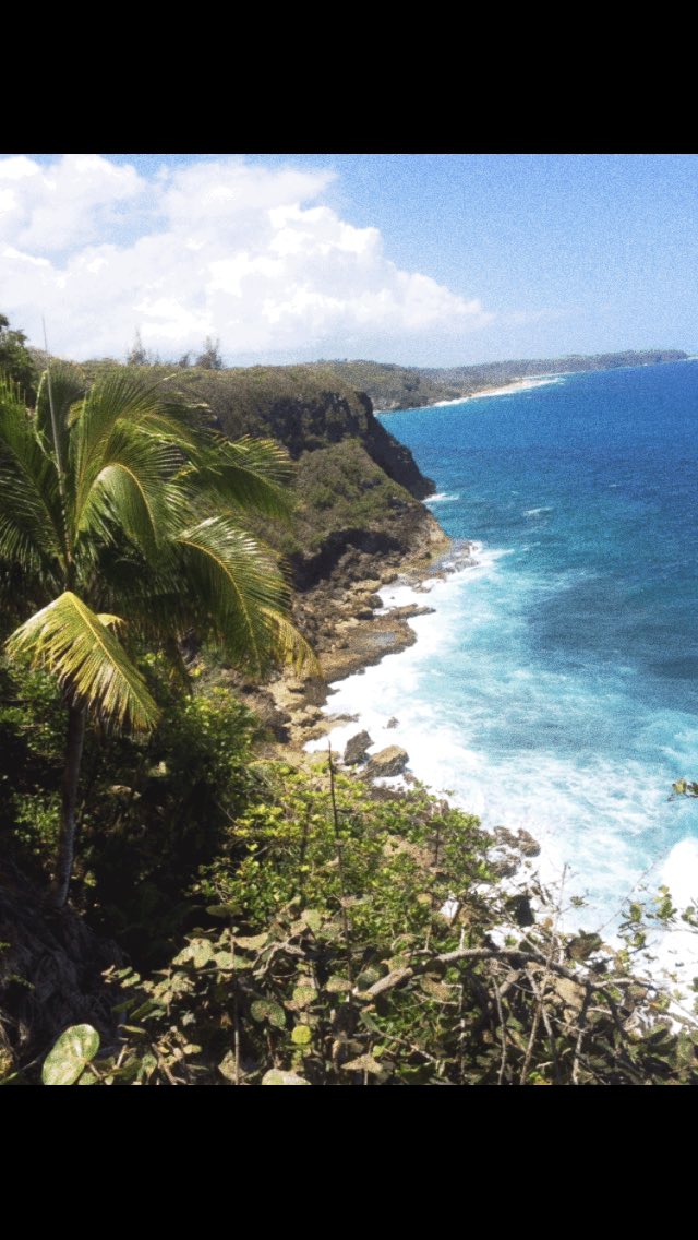 Robert Ferrer tweet media