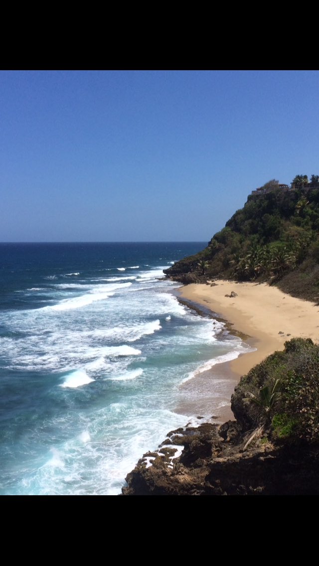 Robert Ferrer tweet media