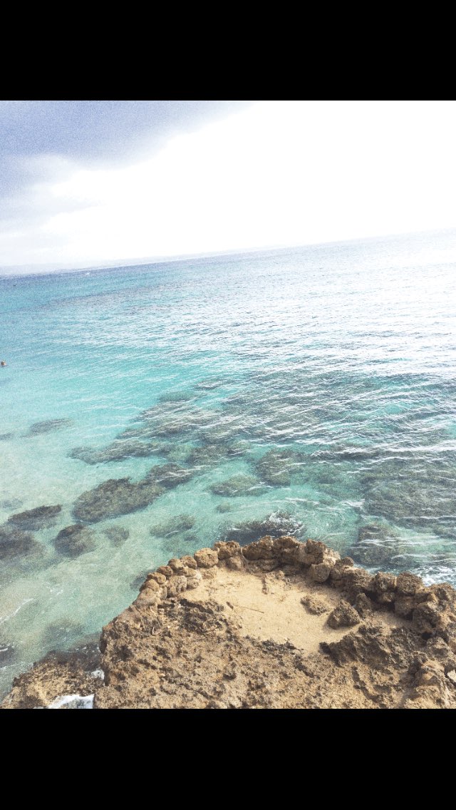 Robert Ferrer tweet media