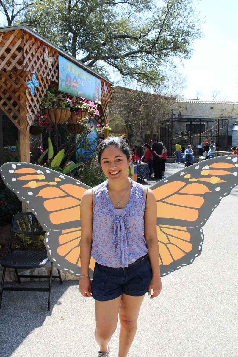 DesiSanchez12's tweet photo. I meant to post these from the #MonarchFest last month. These are a few of my favorite. #SaveTheMonarch #canon https://t.co/wtpgOqo53Y