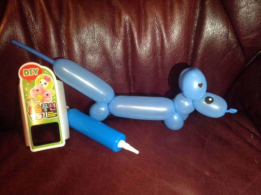 amy__green_'s tweet photo. @KawaiiBoxCo I tried to make a dog with the balloon kit #kawaiibox 🐶 https://t.co/IcNd3yCfW7