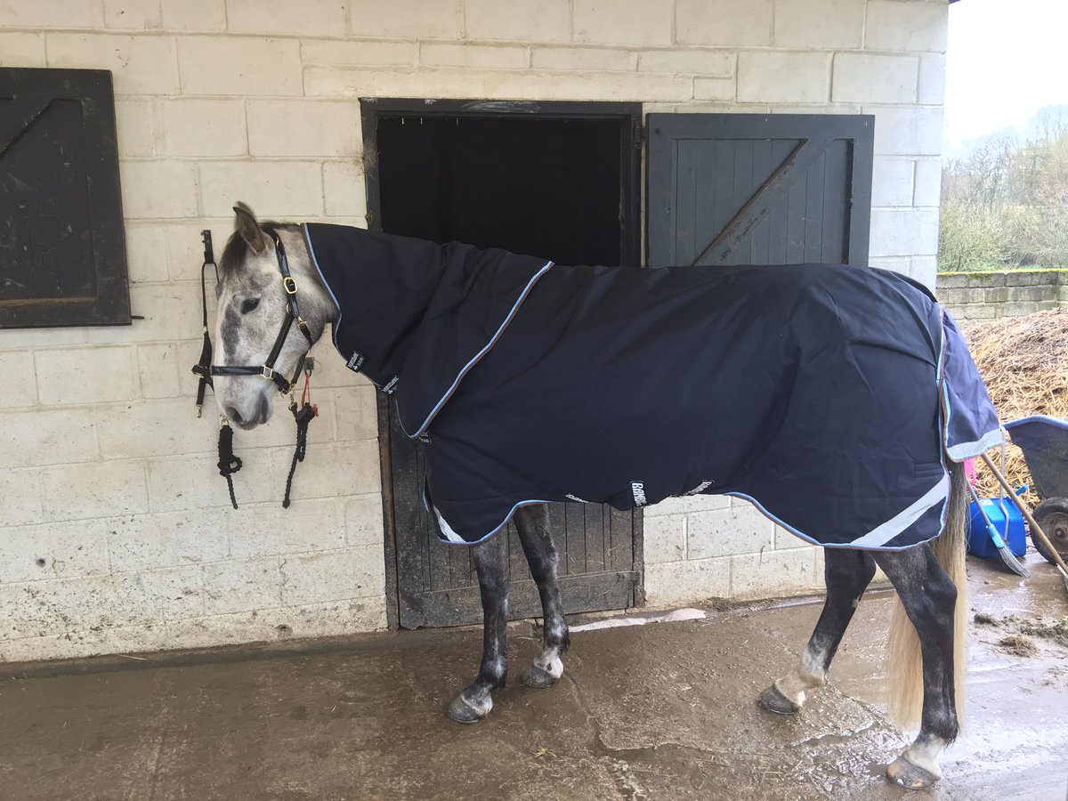 EquineHour's tweet photo. #EquineHour is very impressed so far with the @Horseware Duo Turnout!
#VeryVersatile #EquineHour https://t.co/sYYH4oISWw