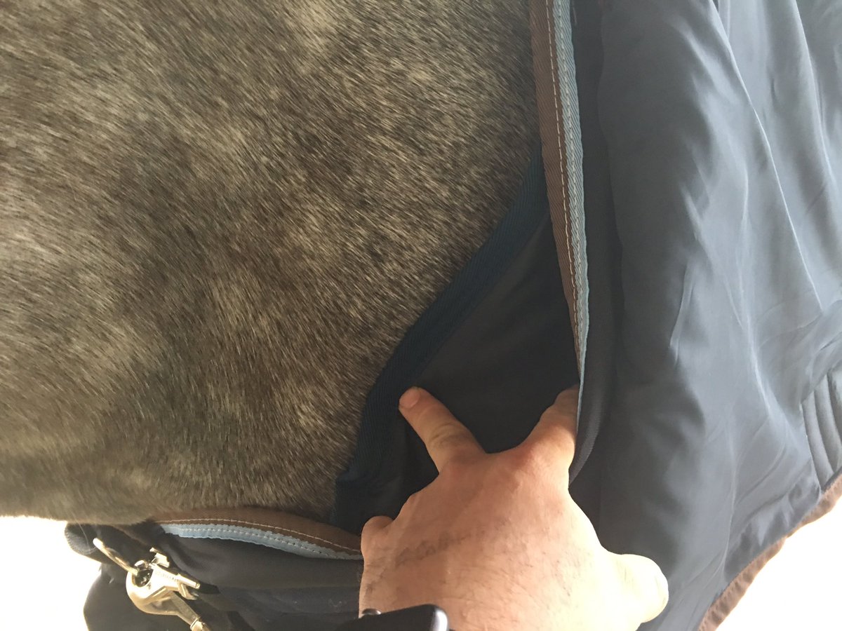 EquineHour's tweet photo. #EquineHour is very impressed so far with the @Horseware Duo Turnout!
#VeryVersatile #EquineHour https://t.co/sYYH4oISWw