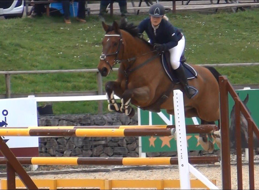 Stanley92Rachel's tweet photo. Bob flying round this weekend in his @Devoucoux chiberta. Won members cup day 1, 3rd day 2 then 3rd 1.20 day 3🏆🌟 https://t.co/0RvPqR01iq