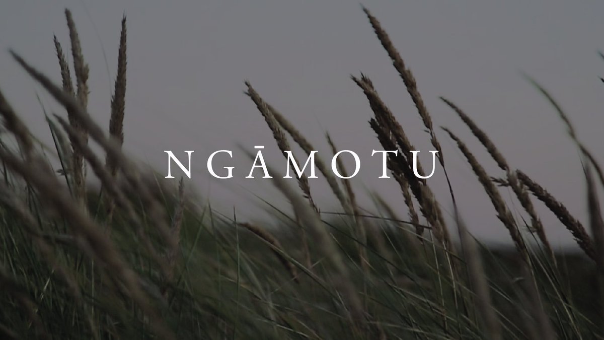 thomasseearbudd's tweet photo. New video!! Meandering our way through New Plymouth's wonderful landscapes.
https://t.co/PiqvO2ZUMB https://t.co/UaZ4FJ1qcd