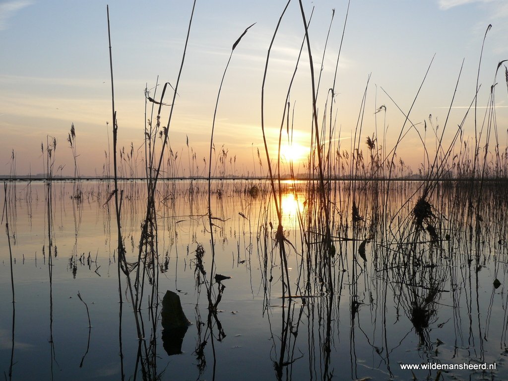 Wildemansheerd's tweet photo. Zonsondergang 't knuppelpad #tRoegwold. Schildwolde, Groningen @SlochterenGem @staatsbosbeheer https://t.co/aJrcQC8xJY