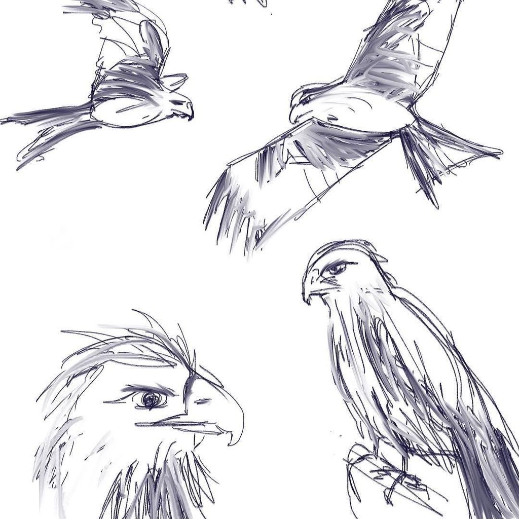 120409: Bald Eagle Pencil Drawing (again!) | Alexis YXY - Artist & Designer