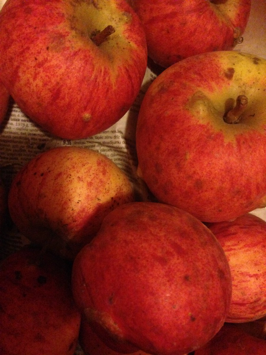 Šodien no pagraba izņemti, kā vakar ielikti - ņam, ņam! #vitamini