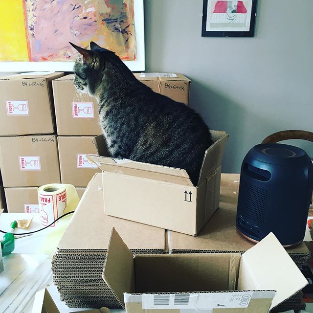 weirdrubikscube's tweet photo. meanwhile at the cat factory.. packing started. shipping is imminent! #catfactory https://t.co/i7z2E1OnFo