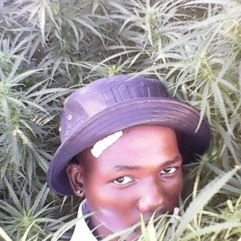 DuncanDipholo's tweet photo. https://t.co/mxMgVUBraj
